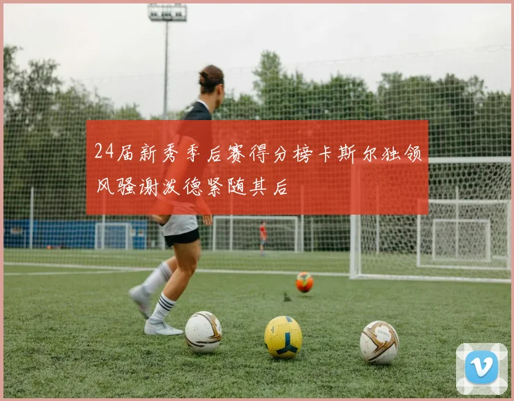 24届新秀季后赛得分榜卡斯尔独领风骚谢泼德紧随其后